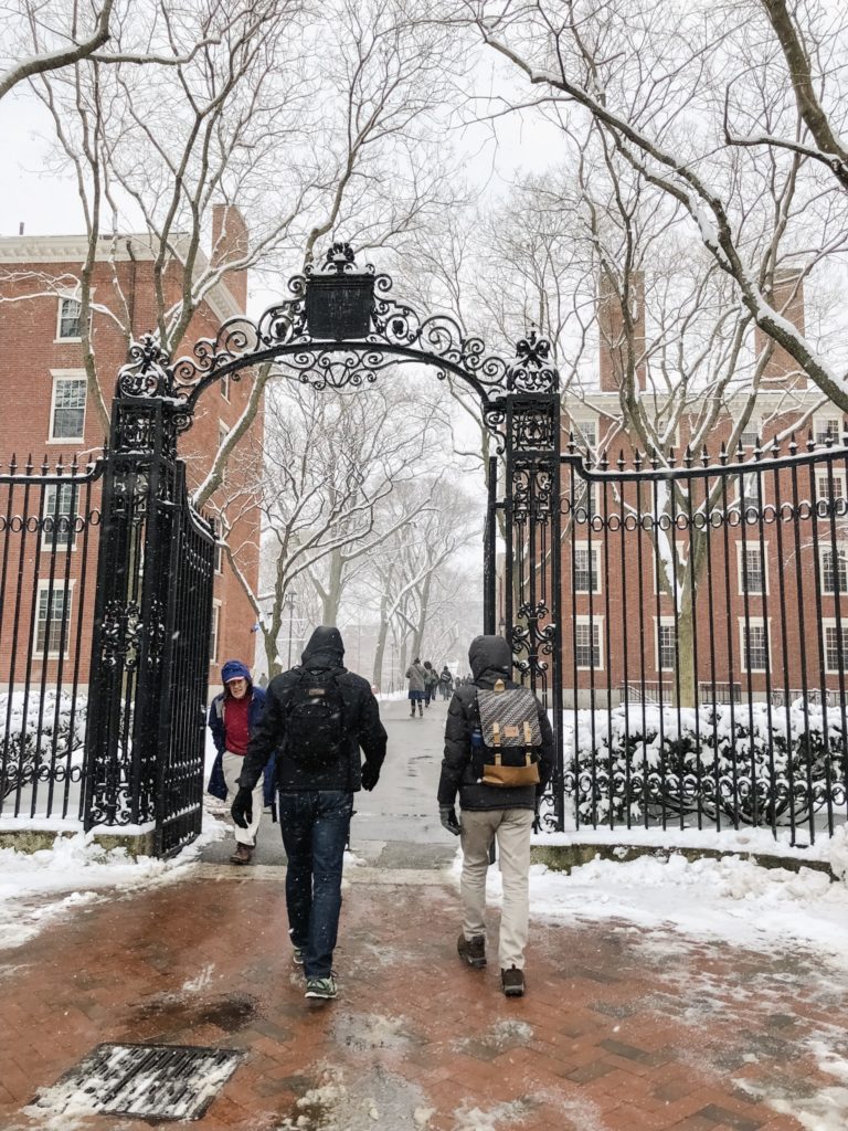 Winter at Harvard