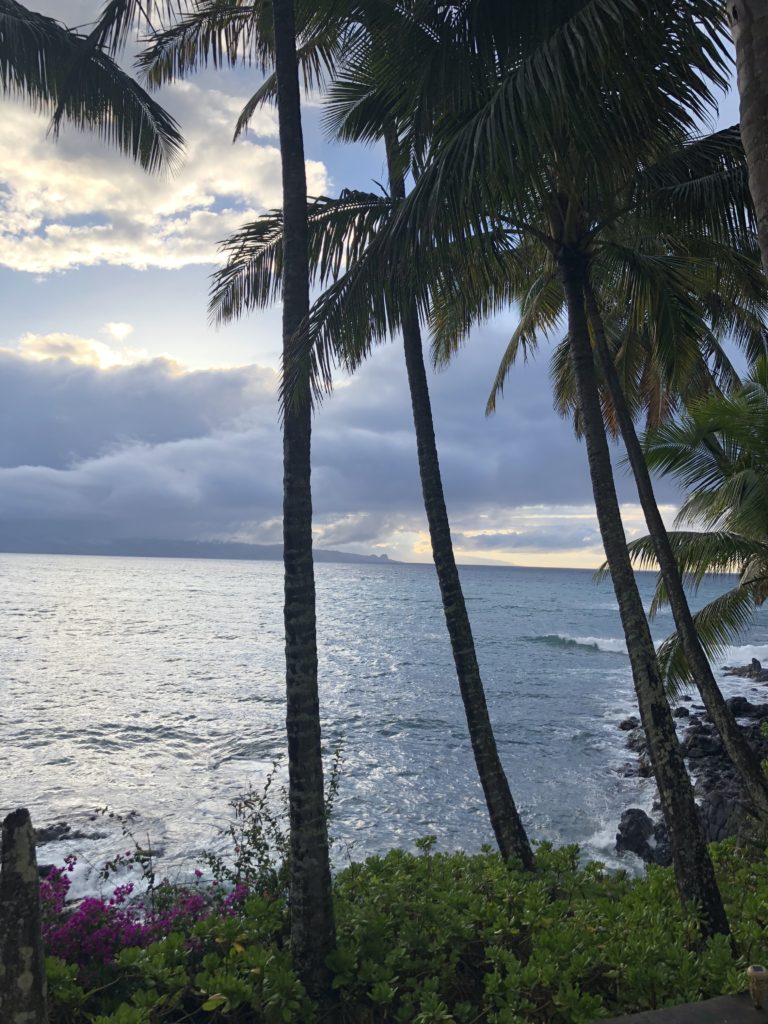 View from Paia Bay Cottage Airbnb on Hawaiian island of Maui.