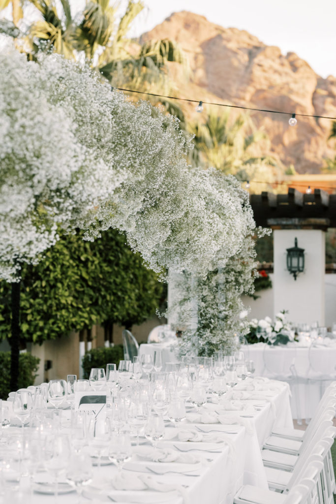 Baby's breath installation over long reception table at outdoor wedding reception.