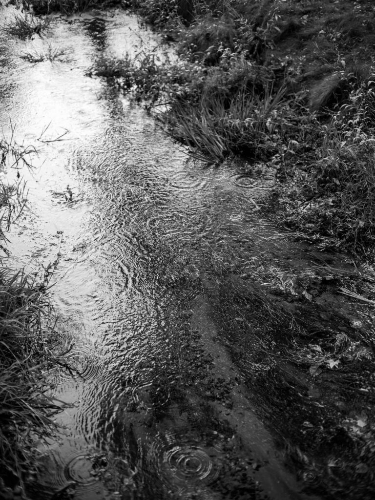 Black and white photo of stream in Sedona, Arizona.