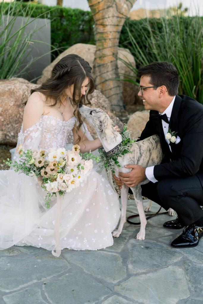 Bride and groom kneeling down greeting a moderate sized dog with a greenery collar.