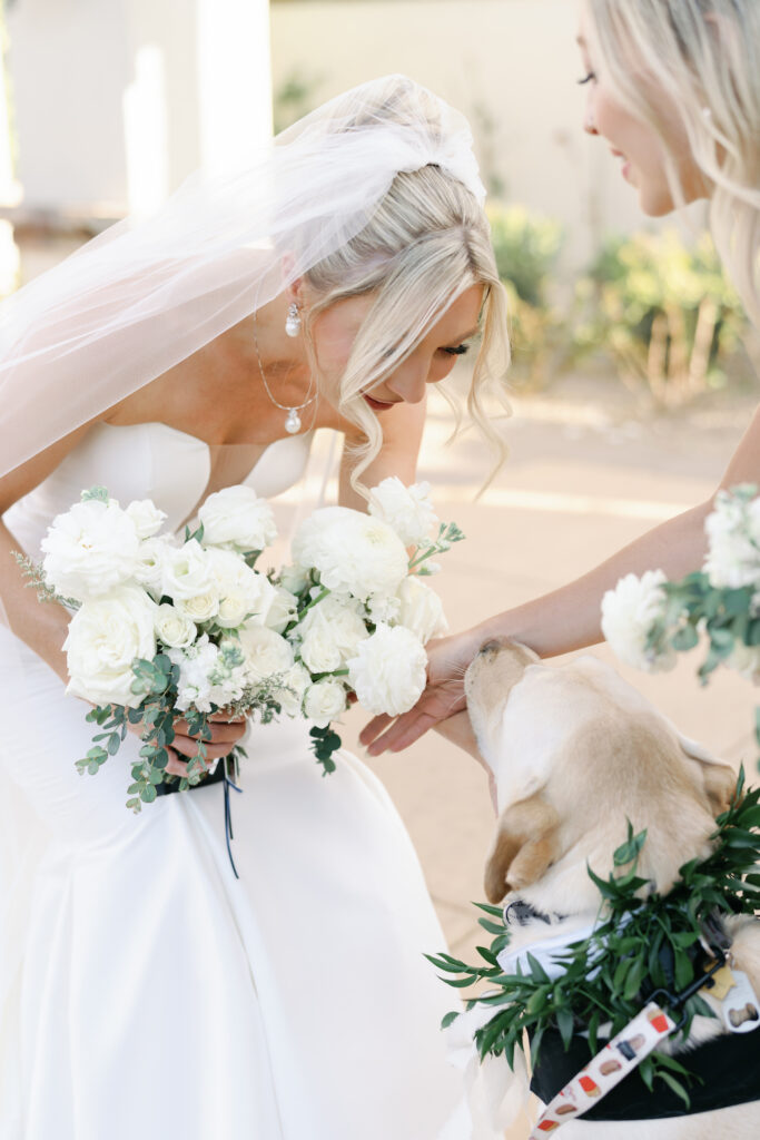 Bride leaning down petting dog while holding white flowers bouquet.