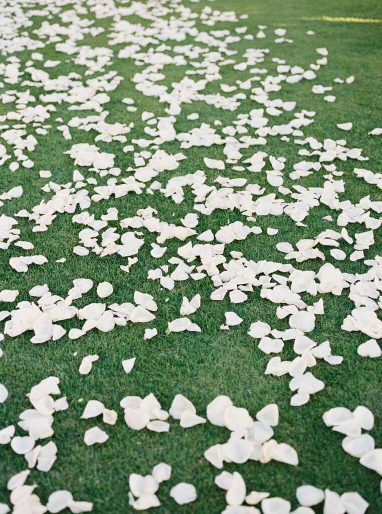 Wedding ceremony aisle lightly covered in white flower petals.