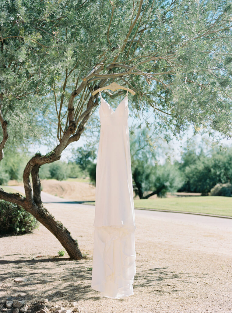 Wedding gown on hanger, hanging from desert tree.