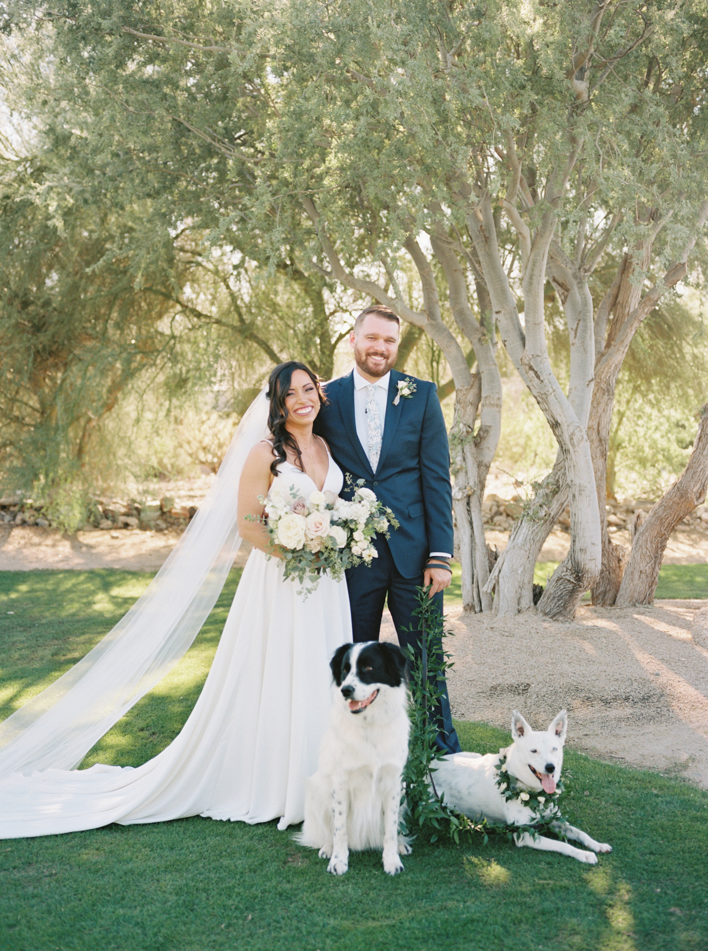 Bride and groom standing in grass with desert landscape behind them, smiling while holding two dogs on leashes and bride holding a bouquet.
