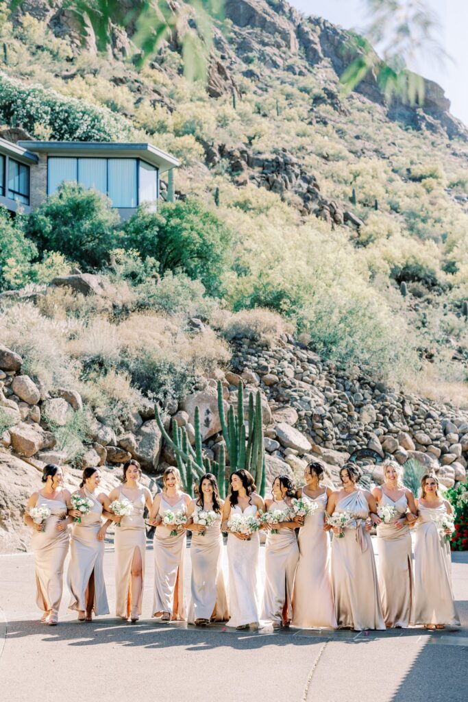 Bride standing in line with bridesmaids in a line in front of desert landscape.