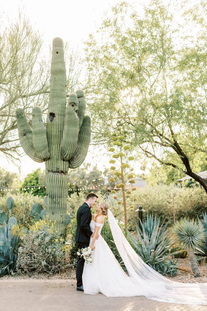 Bride and grooming embracing in front of desert landscape.