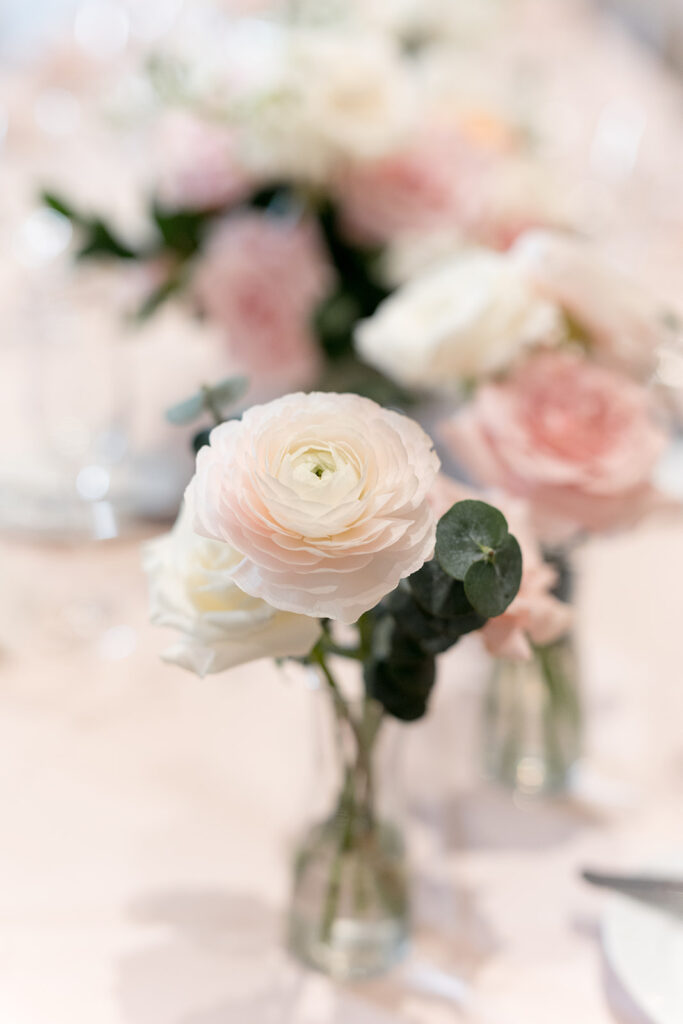 Light blush ranunculus and white rose with eucalyptus in clear glass bud vase.