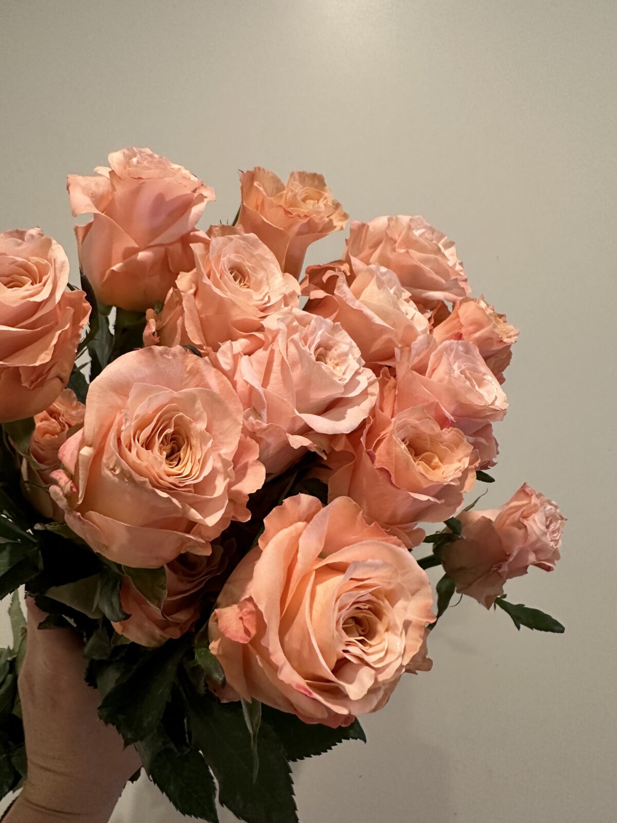 Create Your Own Fun Summer Arrangement - arraydesignaz.com