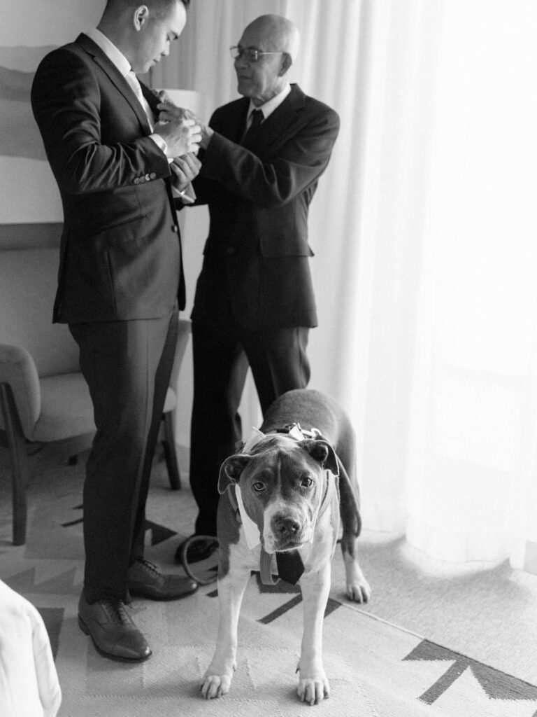 Groom getting help from another man putting on his boutonniere and a large dog standing by.