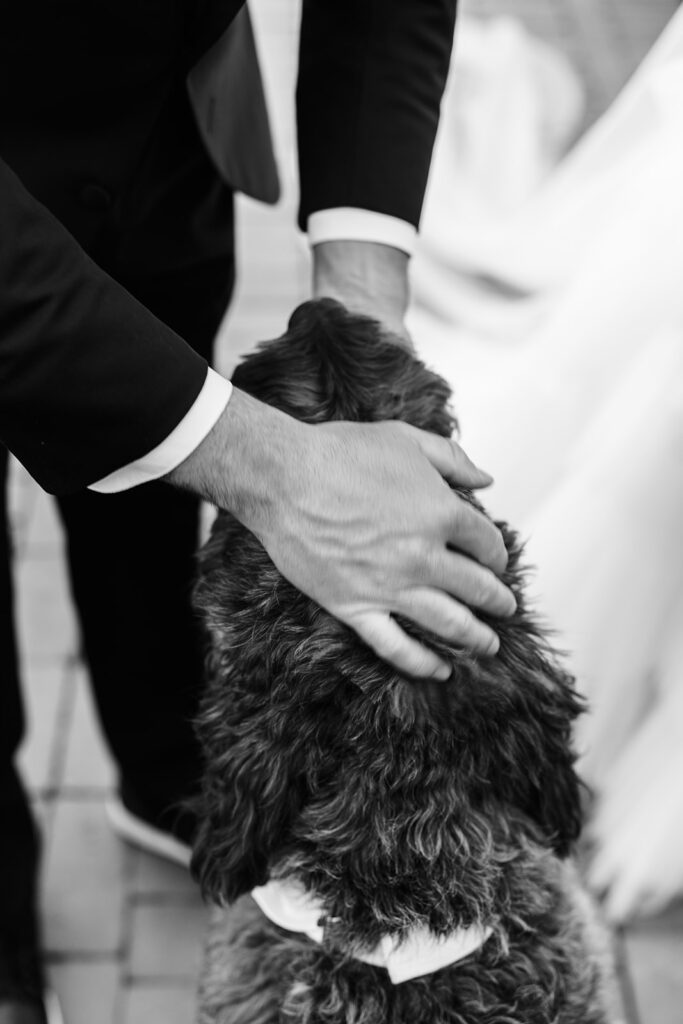Groom petting dog.