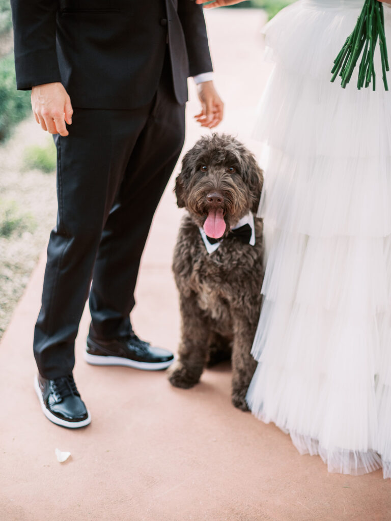 Bride and groom standing next to each other with a dog with a bow tie standing between them.