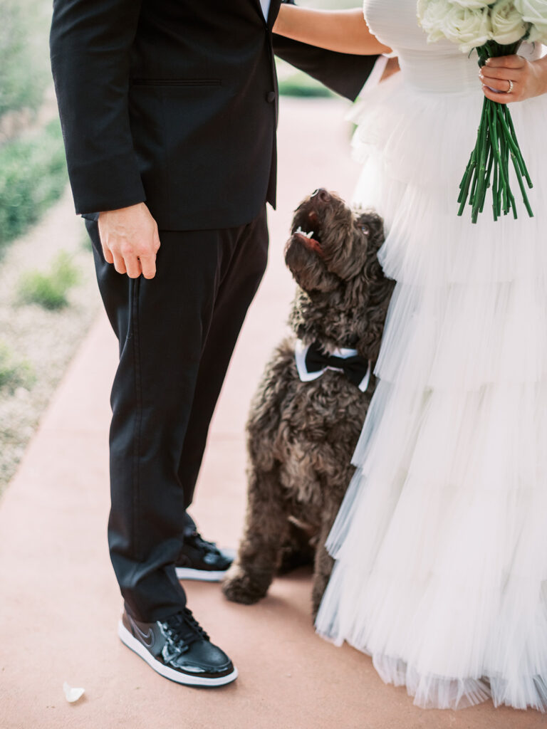 Bride and groom standing next to each other with a dog with a bow tie standing between them.