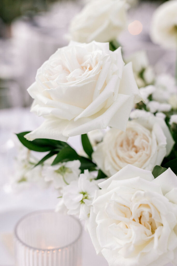 White roses in a wedding reception centerpeice.