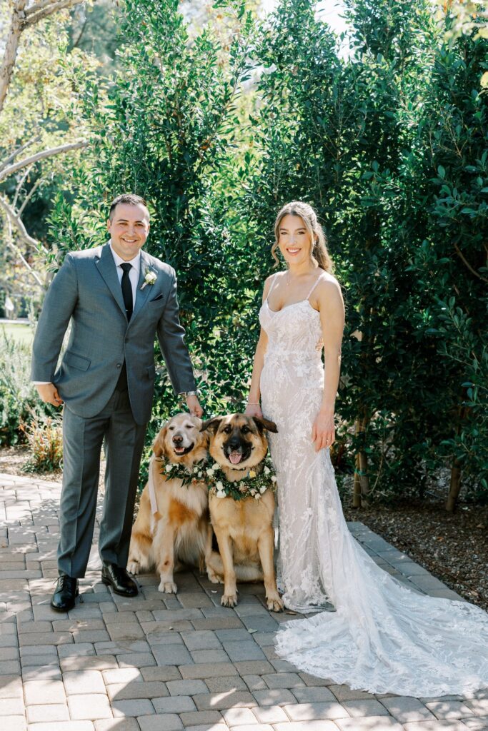 Bride and groom standing with two large dogs between them, both with greenery and floral collars.