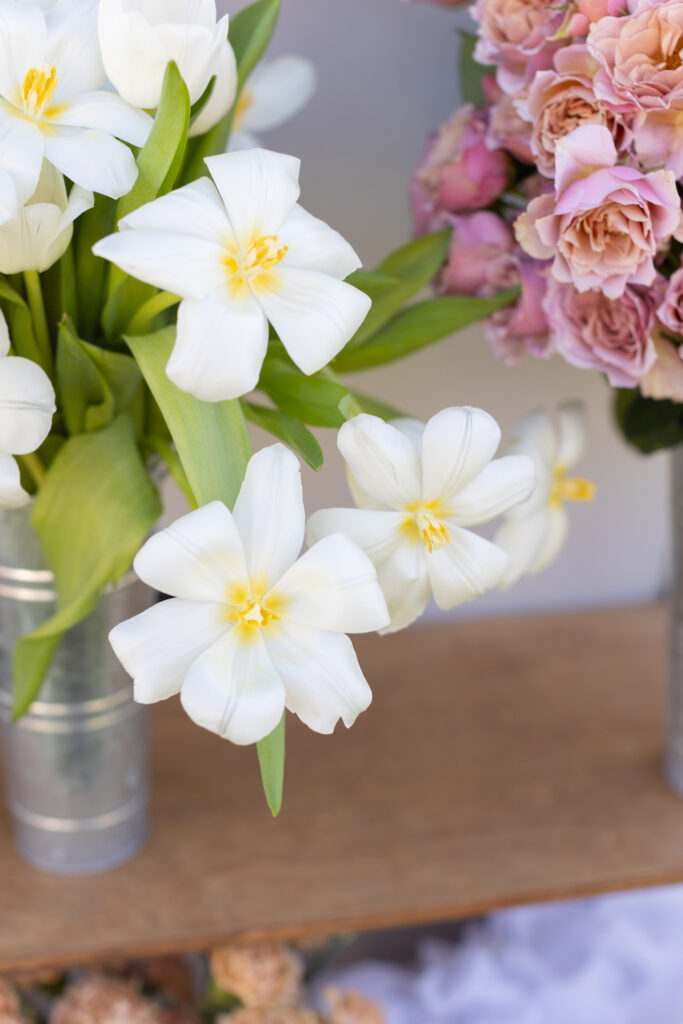 Detail photograph of white and pink flowers.