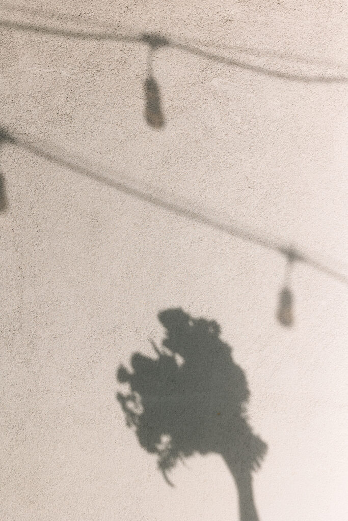 Shadow of bouquet and handing lights against stucco wall.